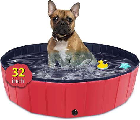 CACSPS Foldable Dog Pool, 32" x 8" Kiddie Pool with Hard Plastic, Non ...