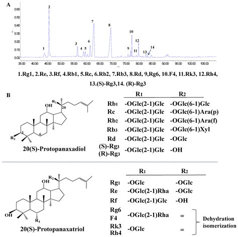 Supplementation of Saponins from Leaves of Panax quinquefolius ...