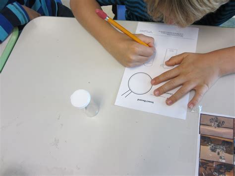 Image result for Expert Science Lesson