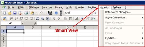 Image result for How to Use Essbase SmartView