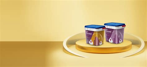 Discover Quality Paint Solutions at JSW Paints