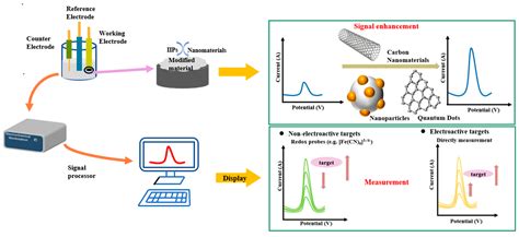 Nanomaterials-Based Ion-Imprinted Electrochemical Sensors for Heavy ...