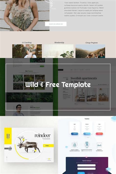 Image result for Website Design Layout Free with Coding