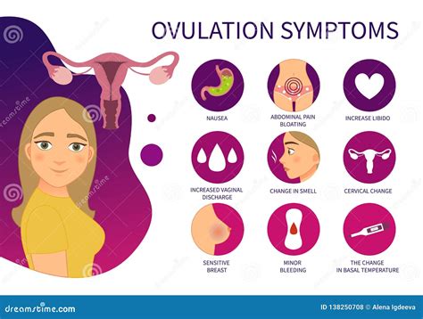 Vector Poster Ovulation Symptoms. Stock Vector - Illustration of organ, menstrual: 138250708