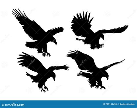 Set Silhouettes of Eagles in Flight. Stock Illustration - Illustration of silhouette, vector ...