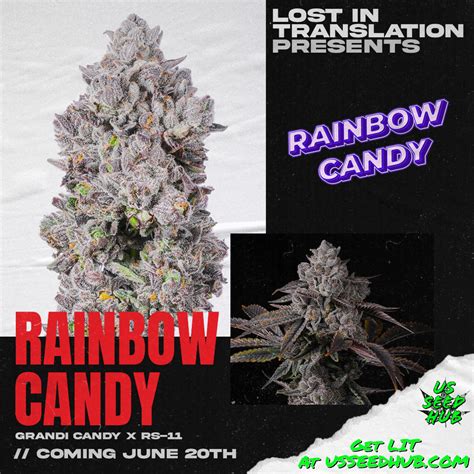 RAINBOW CANDY FULL PACK BY LIT FARMS