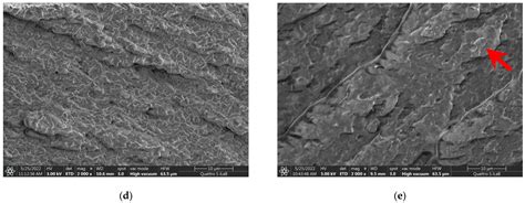 The Enhanced Moisture Absorption and Tensile Strength of PVA/Uncaria ...