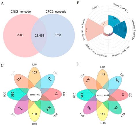Integrated Analysis of lncRNA–mRNA Regulatory Networks Related to Lipid ...