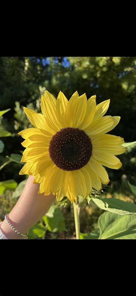 AS THE RIVER BENDS RETREAT (Hantsport) - Campground Reviews & Photos ...