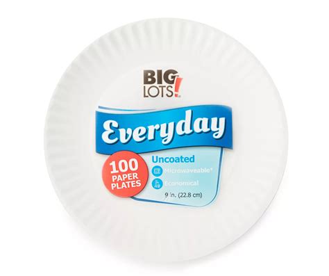 Big Lots White Uncoated Paper Plates, 100 Count | Big Lots