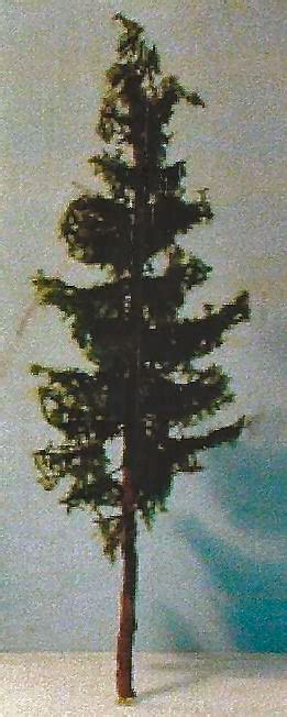 Making Realistic Model Fir Trees 的图像结果