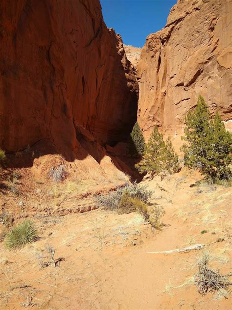 Loop Trail 的图像结果