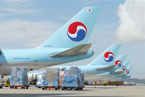 Download Korean Air Airlines Logo Wallpaper | Wallpapers.com