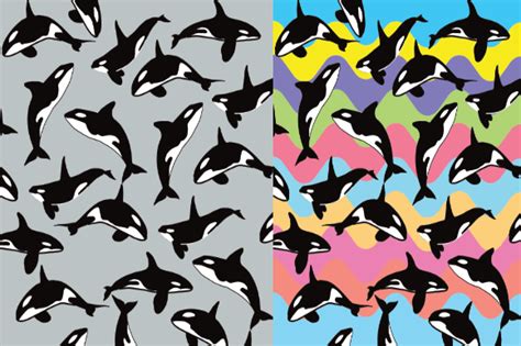 Image result for Orca Pattern