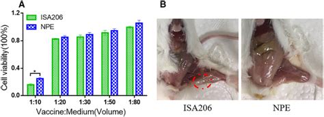 Image result for Nanoparticles Biocompatibility