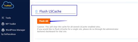 Image result for Litespeed Cache Explained