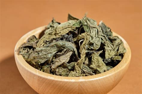 St. Johns Bush – Akeem Pierre