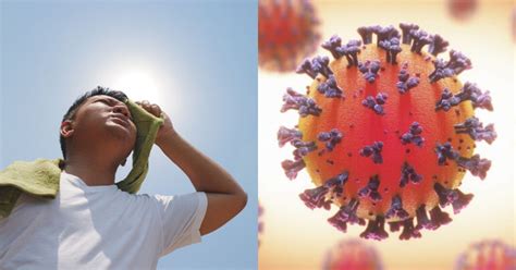 Change In Environmental Conditions Will Affect COVID-19's Stability