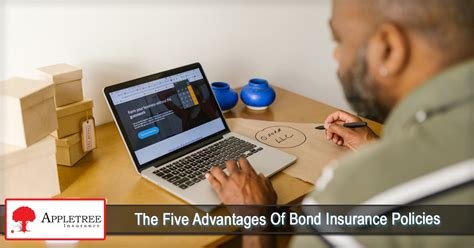 Image result for Insurance Bond Explained