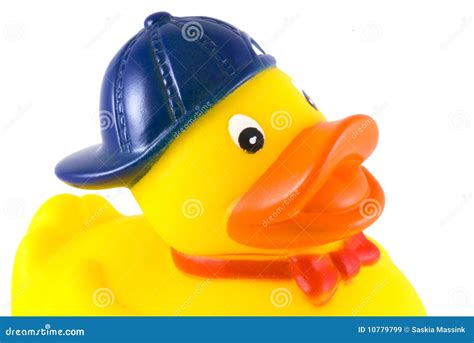 Funny rubber duck. stock image. Image of duckling, bird - 10779799