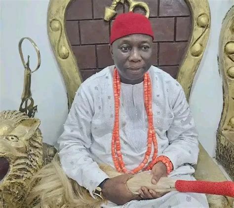 Asagba of Asaba laments city’s reputation as “headquarters of yahoo yahoo” | Nigeria