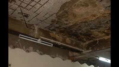 City govt schools picture of neglect | Bhubaneswar News - Times of India