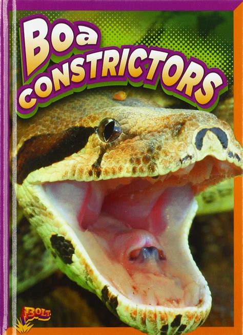 Boa Constrictors : Terp, Gail: Amazon.in: Books