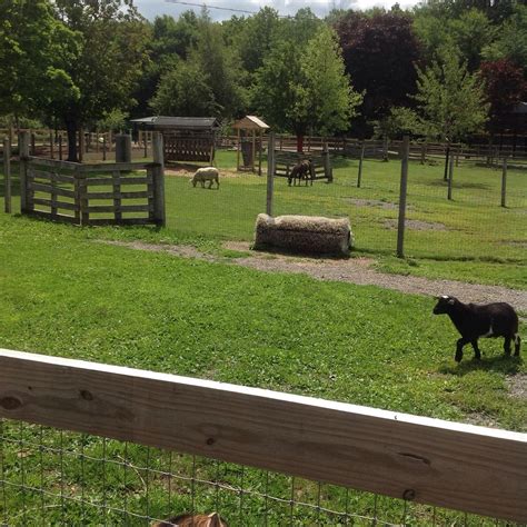 GREEN HILL PARK FARM - All You Need to Know BEFORE You Go 2026 (with ...