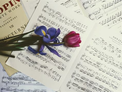 Image result for Classical Music for Spring