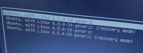 Image result for Ubuntu Boot with Safe Graphics