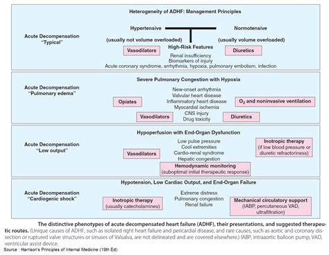 Management Acute Pulmonary Edema Acute Heart Failure The Cardiology