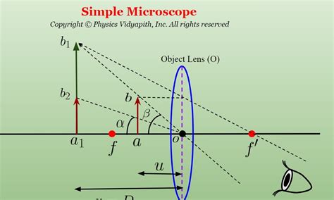 Image result for Simple Microscope Physics