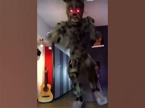 Image result for Spring Trap Getting Sturdy Animation