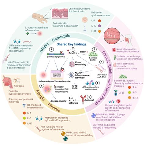 Genetic and Epigenetic Interconnections Between Atopic Dermatitis ...