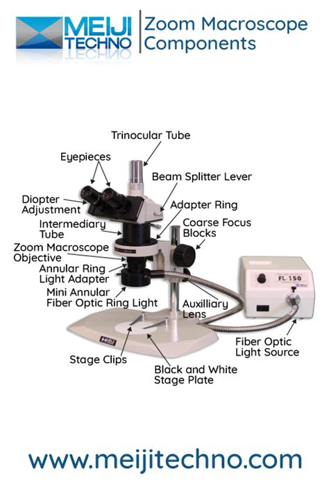 Microscope Terminology 的图像结果