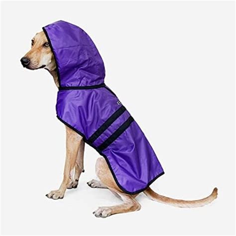 That Dog In Tuxedo Pawddington Dog Raincoat with Hoodie - Purple (Size ...