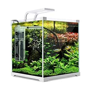 Dynamic Power Starfire Glass Fish Tank 16L (AQ-FT16L) : Amazon.in: Pet ...