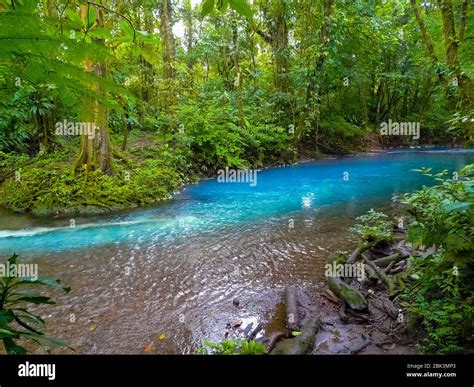 Rio Celeste, Tenorio volcano national park, Costa Rica Stock Photo - Alamy