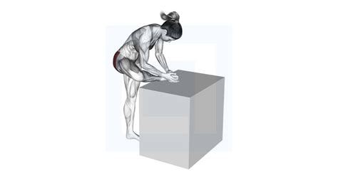 Image result for Lateral Step Up Exercise