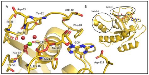 NMR-Chemical-Shift-Driven Protocol Reveals the Cofactor-Bound, Complete ...