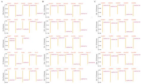 Genome-Wide Characterization of SNAC Gene Family in Ten Cotton Species ...