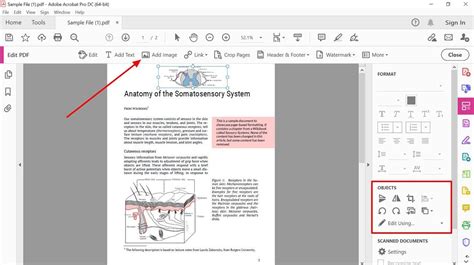 Image result for How to Add Image in PDF File