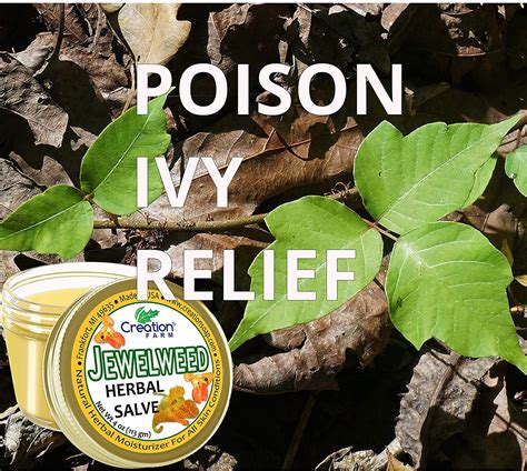 Buy Jewelweed Herbal Salve for Wounds, Rash, Bug Bites, Itchy Skin 2, 4 ...
