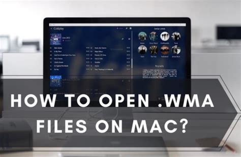 Open WMA File 的图像结果