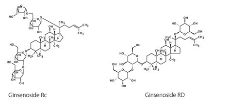 HPLC Separation: Ginsenosides from American Ginseng