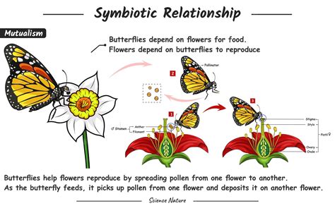 Mutualism Science