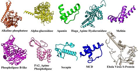 In Silico Analysis of Honeybee Venom Protein Interaction with Wild Type ...