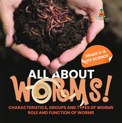 All About Worms! Characteristics, Groups and Types of Worms | Role and Function of Worms | Grade ...