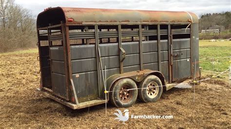 Image result for Loading Goats On Trailer