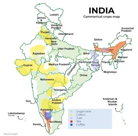 PICTORIAL REPRESENTATION of seasonal crops grown in India on a ...